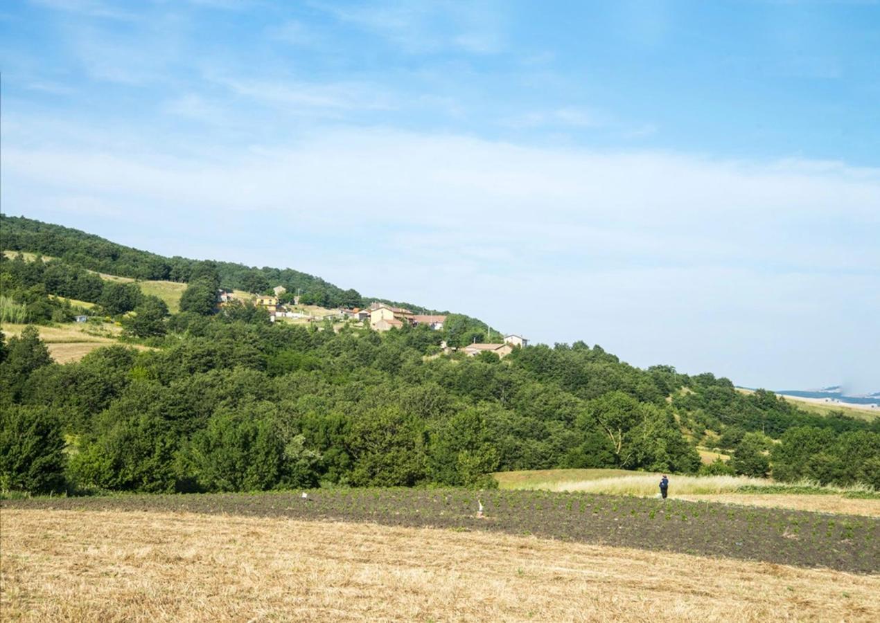 Le Pitture Casa Di Campagna Filiano ภายนอก รูปภาพ