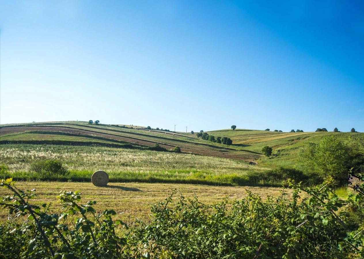 Le Pitture Casa Di Campagna Filiano ภายนอก รูปภาพ
