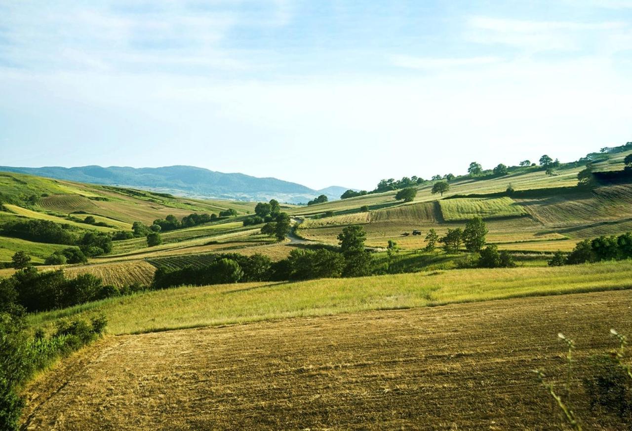 Le Pitture Casa Di Campagna Filiano ภายนอก รูปภาพ